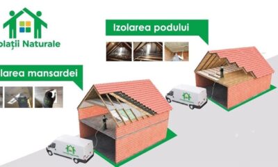 Motivul pentru care să optezi pentru izolația din lână de lemn în cazul în care ai copii mici sau alergii (P)