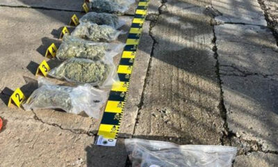 Un traficant din Arad a fost capturat în momentul în care ridica un colet cu 7 kilograme de canabis. În posesia sa se afla un pistol de calibru 9 mm și muniție.