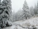 Zăpada atinge o grosime de 15-20 cm pe diverse masive montane din țară, iar ninsorile vor persista și în zilele următoare.