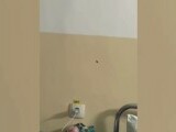 Reacția Spitalului Județean din Slatina după ce mai mulți pacienți au surprins gândaci. Băile se află într-o stare deplorabilă.
