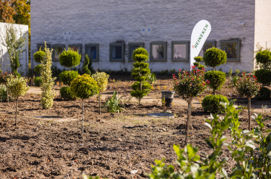 HEINEKEN România: 70% dintre angajați participă la activități de voluntariat pentru comunități