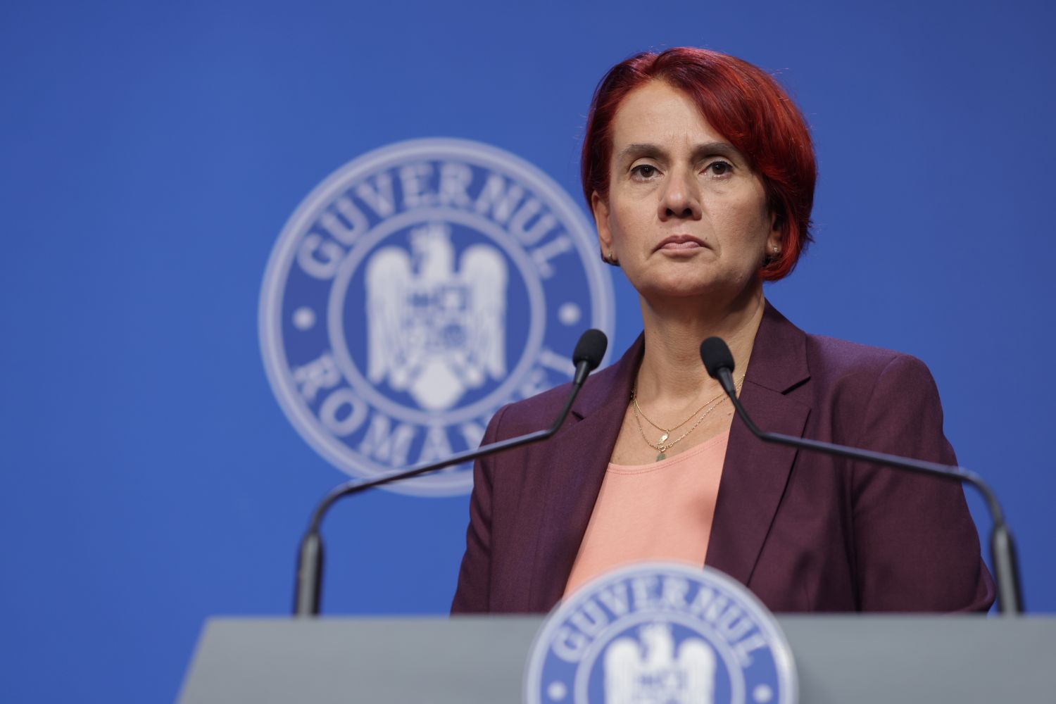 Dogioiu: În ceea ce privește cumulul pensie-salariu, penalizarea de 85% din pensie va fi aplicată doar în cazul pensiilor necontributive.