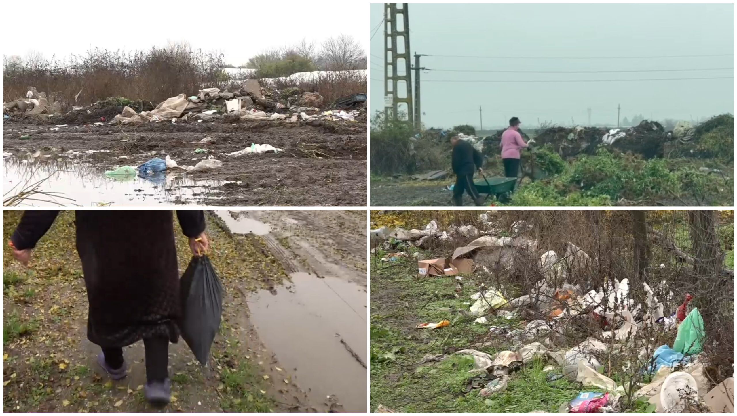 Câmpuri sufocate de gunoaie într-o comună din Olt: localnicii și primarul își aruncă vina unul asupra altuia.