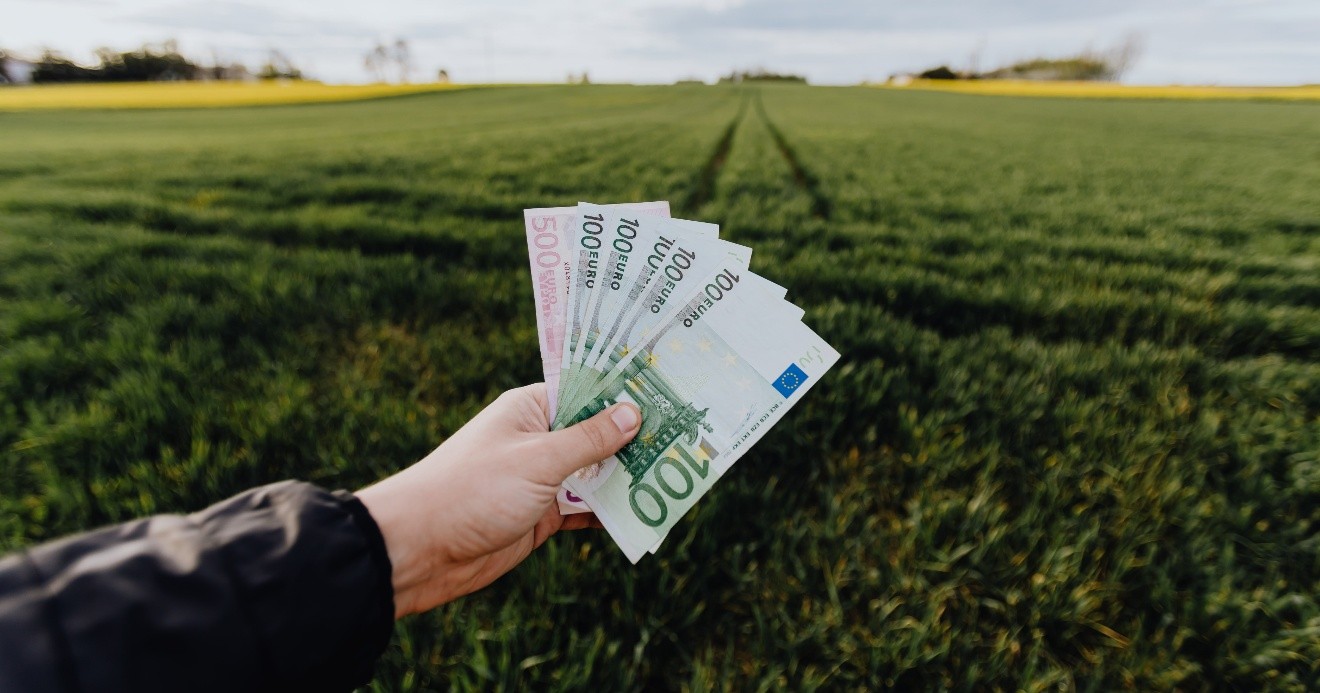 4 pași simpli pentru un viitor financiar mai stabil