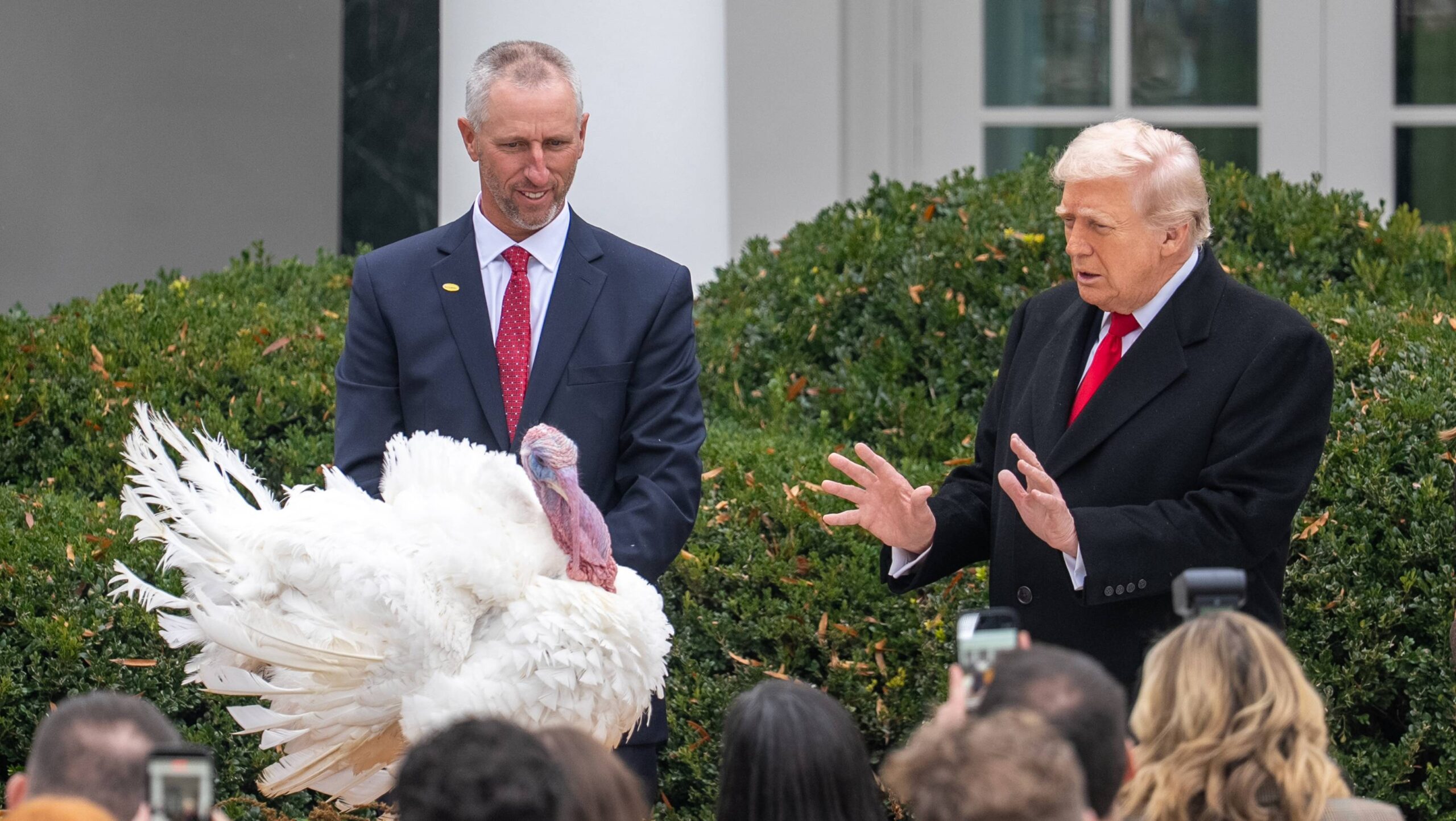 Tradiția grațierii curcanilor de Ziua Recunoștinței, ocazie pentru Donald Trump de a-și critica oponenții politici: „Grăsan neîngrijit”
