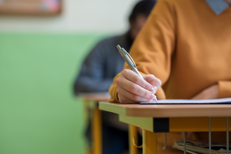 Consilieră a premierului, referitor la programa de română pentru clasa a IX-a: „Pare mai degrabă adaptată la nevoile studenților de la Facultatea de litere”