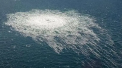 Italia va extrăda suspectul în cazul exploziei Nord Stream către Germania.