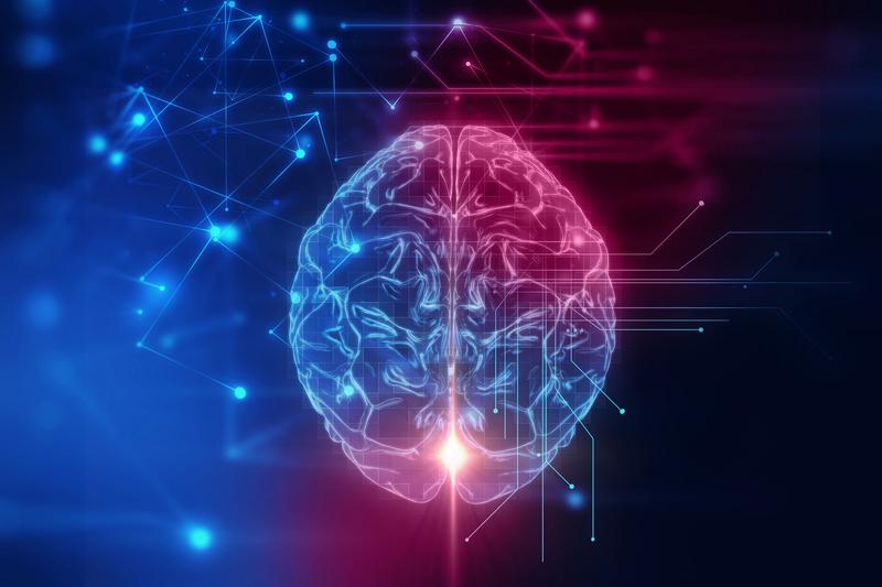 Creierul uman, „preprogramat” să gândească înainte de a percepe mediul înconjurător – studiu