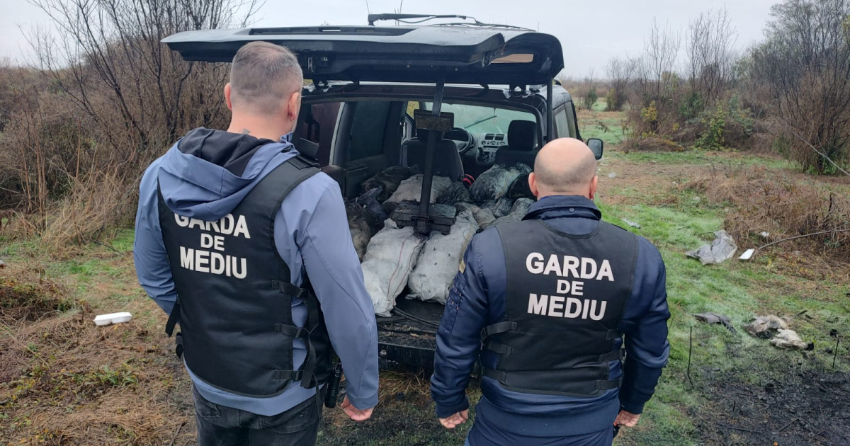 Ministra Mediului: „Mafia gunoaielor trebuie oprită”. Amenzi mari și cantități semnificative de deșeuri confiscate în Dâmbovița.