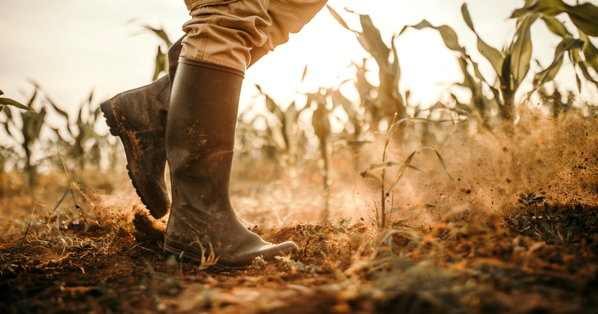 Agricultura din România, în pericol: 7,5 milioane de hectare amenințate de deșertificare. Avertismentul climatologilor