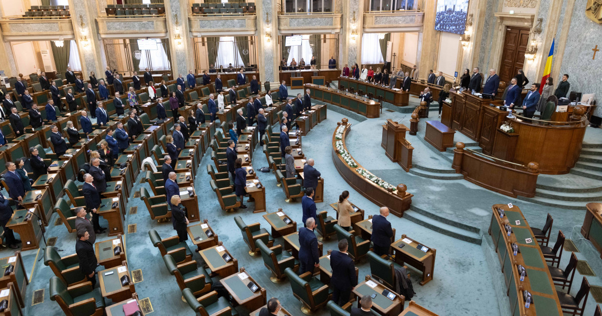 Moment de reculegere în plenul Senatului pentru Mihaela, femeia omorâtă cu 15 lovituri de cuțit de fostul partener.
