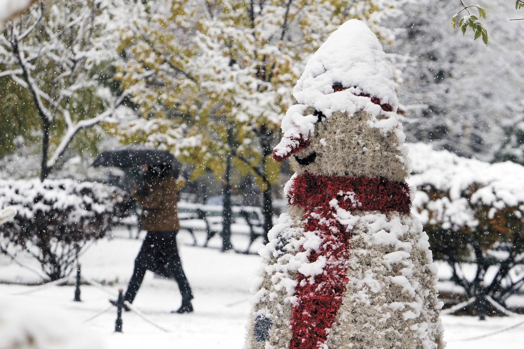 ANM a revizuit prognoza meteorologică. Cod galben și portocaliu de vânt intens și ninsoare în diverse regiuni