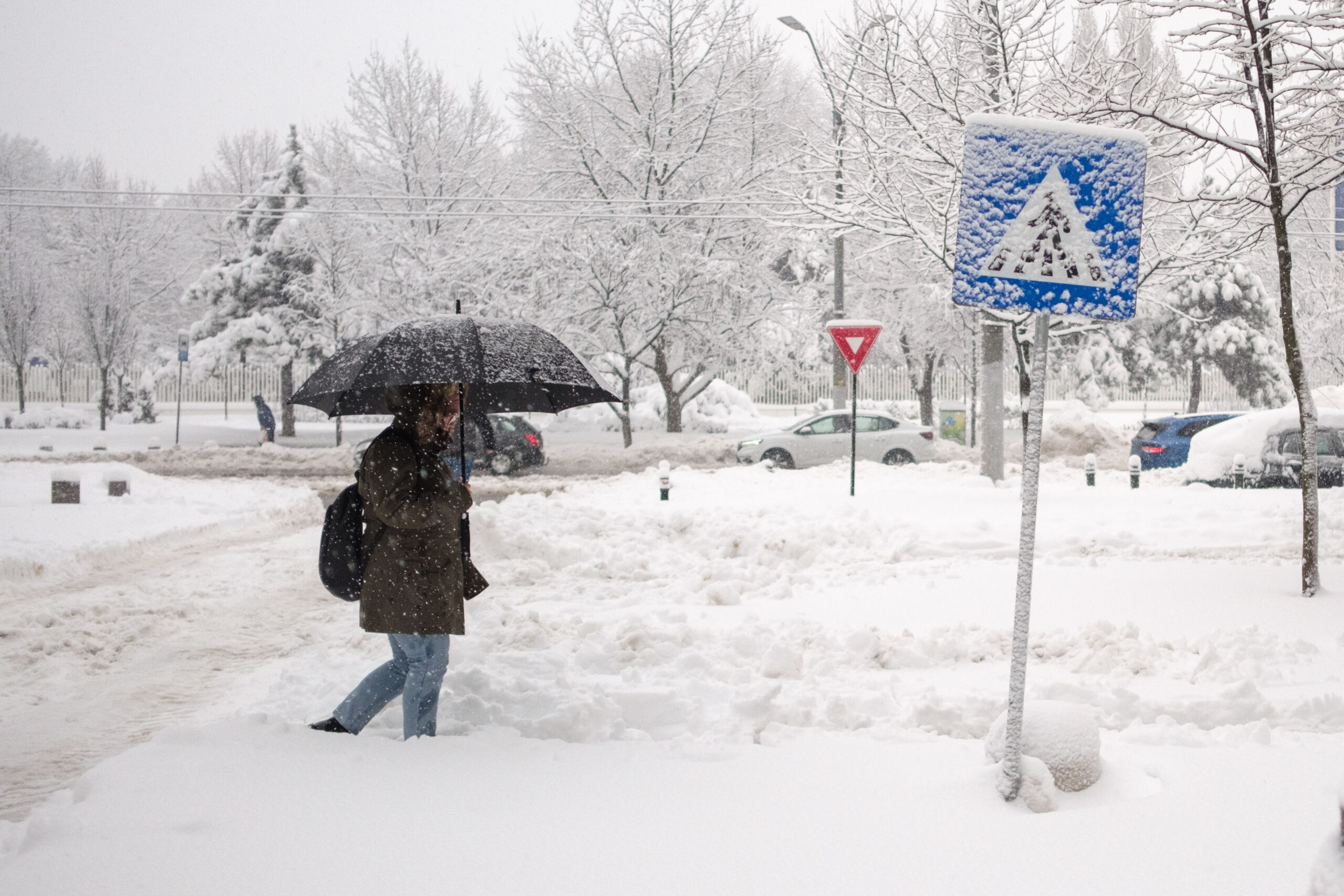 Șefa ANM anunță ce va urma după „cel mai sever episod de iarnă” din acest sezon. „Este posibil să avem temperaturi sub -15 grade”
