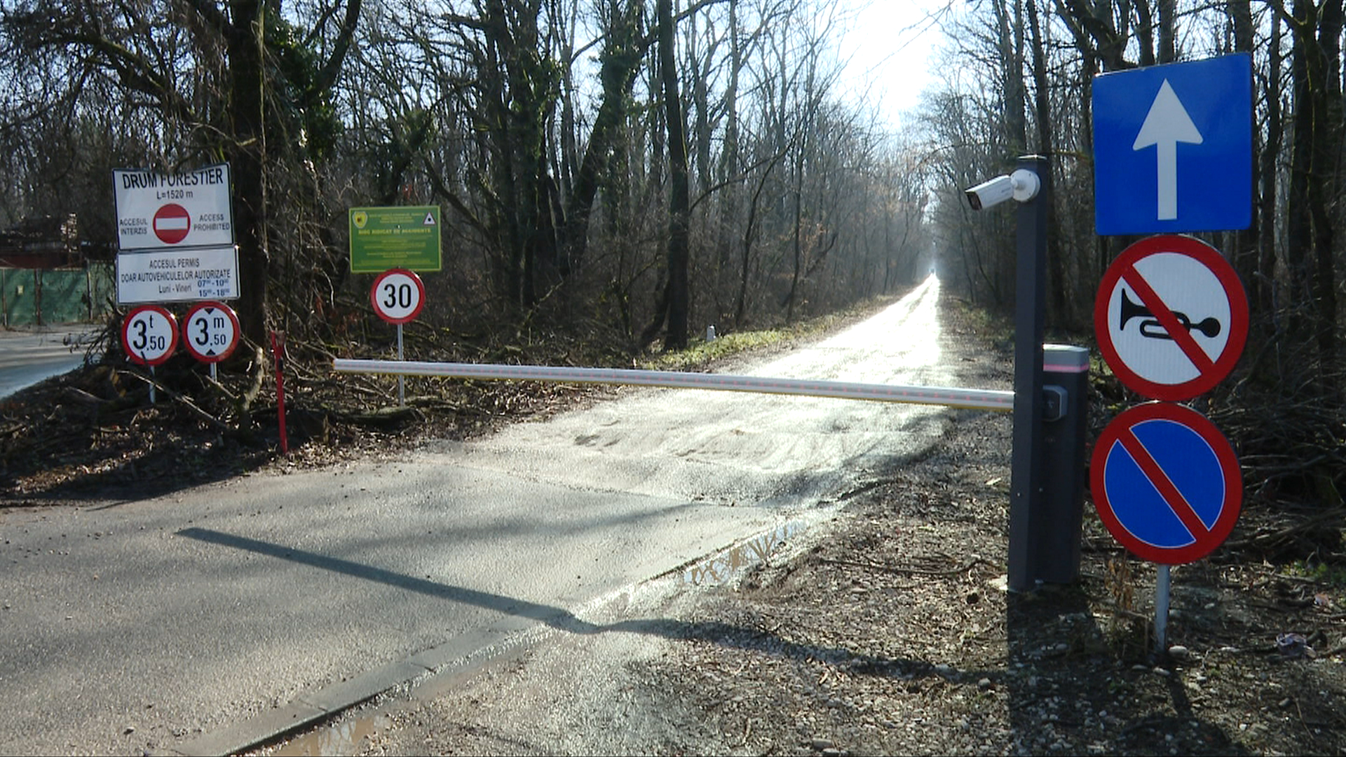 Acces neautorizat în Pădurea Băneasa. Mii de bucureșteni din Sectorul 1 se confruntă cu riscul de a pierde o cale importantă spre locuințe. Răspunsul Romsilva