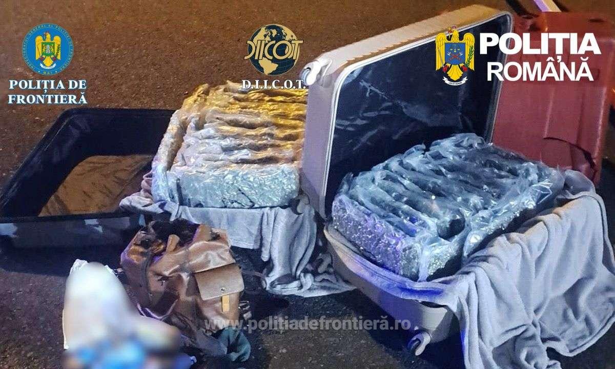 Aproape 31 de kilograme de canabis au fost găsite la Nădlac: un italian a fost reținut preventiv.