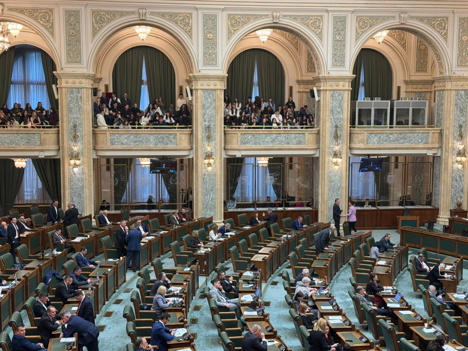 Diana Buzoianu, la Senat, despre moțiunea îndreptată împotriva sa: „Are un singur merit” / Decizia adoptată de PSD