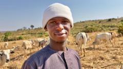 „Pacea este un proces treptat”: Cum pământul, vitele și identitatea alimentează un conflict mortal în Nigeria