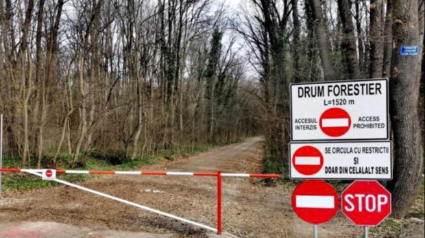 Romsilva a închis oficial calea prin Pădurea Băneasa. Lovitură pentru locuitorii din Greenfield: accesul auto interzis din nou pe drumul forestier.