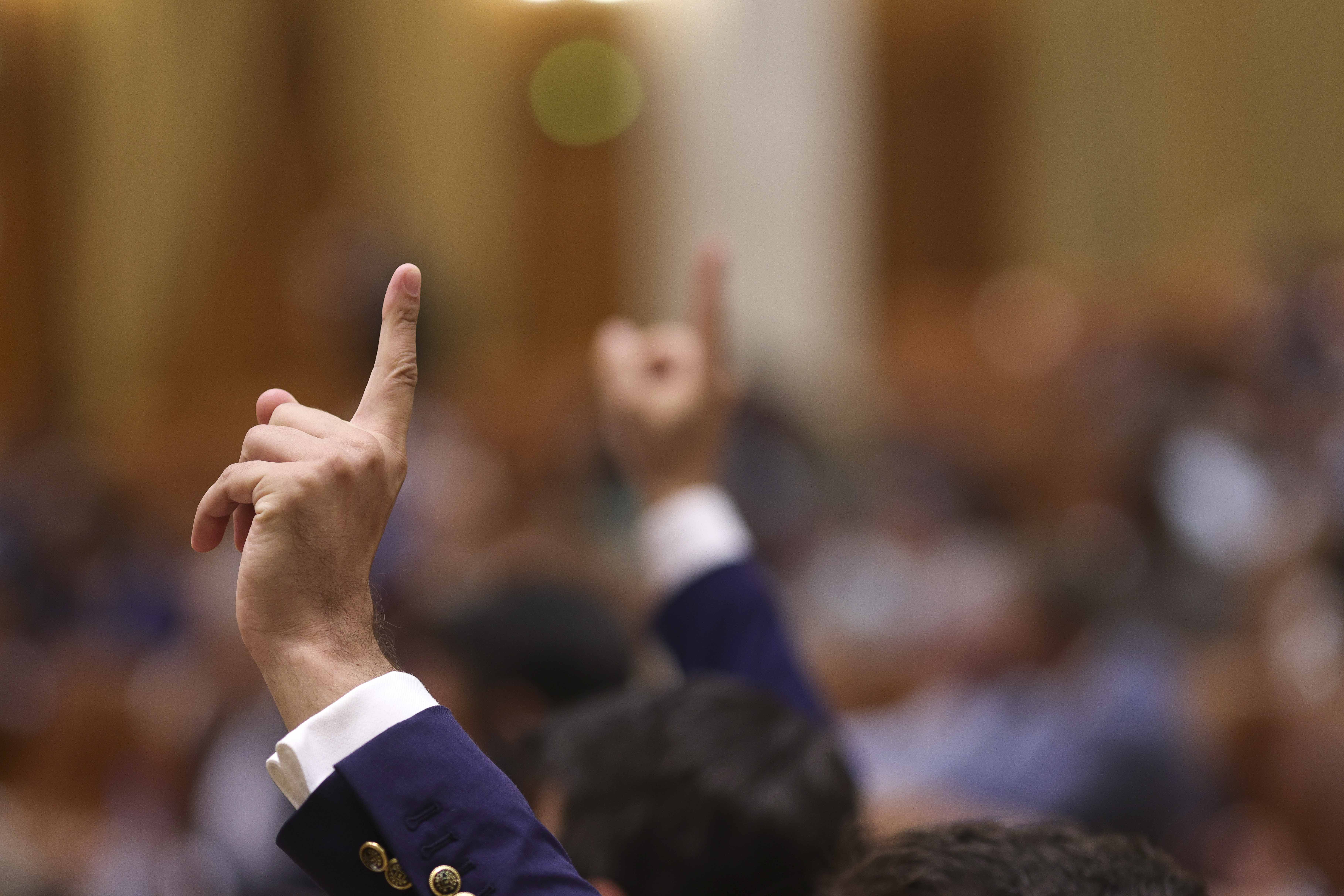 Ordonanța referitoare la programul SAFE a fost respinsă în Camera Deputaților. PSD acuză PNL de vot împotrivă.