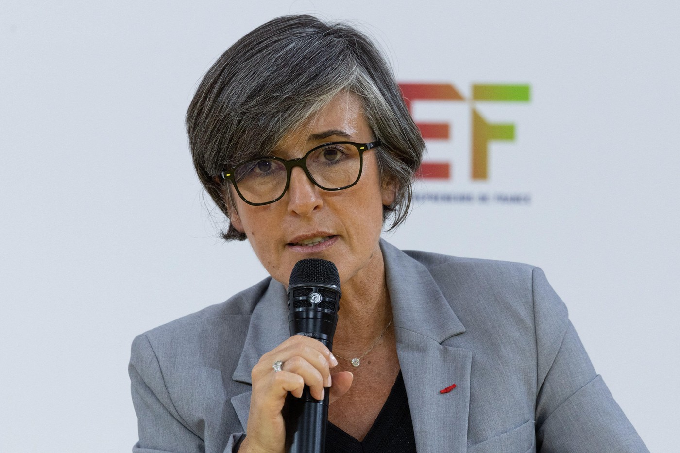 Avertismentul emis de contraspionajul francez în urma incidentului de la Leipzig. Scenariul considerat de șefa DGSI
