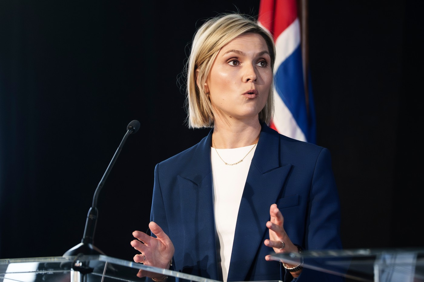 Referendumul din Islanda referitor la UE: Premierul afirmă că respingerea nu constituie „un eşec” / UE declară că „respectă pe deplin alegerea democratică” a cetăţenilor islandezi
