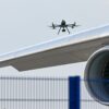 Închiderea temporară a celui mai mare aeroport din Lituania a fost cauzată de păsări, nu de un grup de drone.